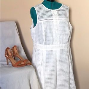 NWOT Women’s dress